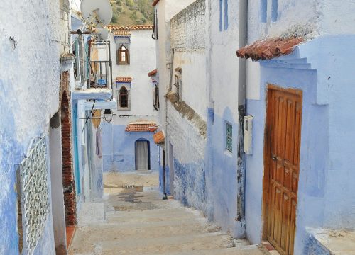 africa seafrigo