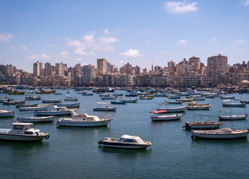 egypt seafrigo