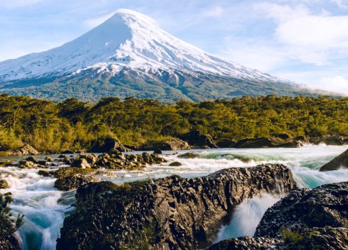 latin america seafrigo