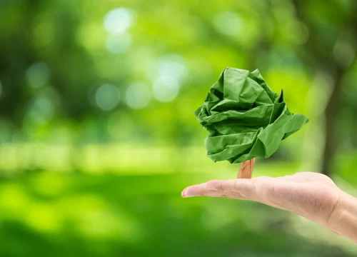 Resposabilité environnementale seafrigo
