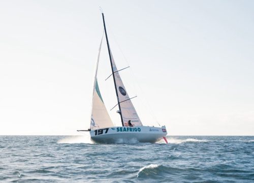 Img Seafrigo 25 36