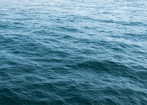 Environnement océan