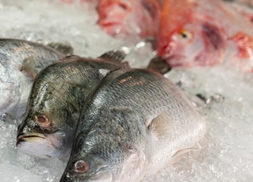 poissons